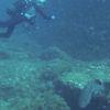 Picture taken during the dive