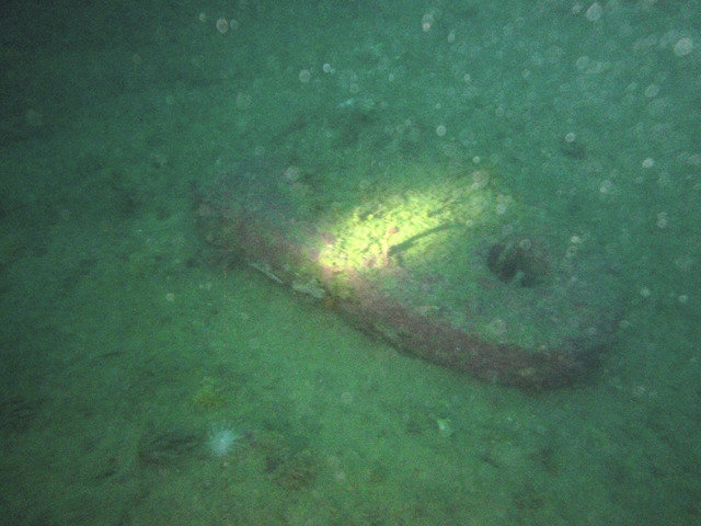 UDIVING, Unipessoal, Lda. - Dive Center in Portugal