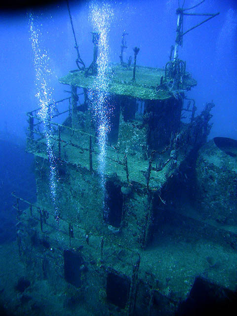 Parrots Dive Center - Dive Center in United States