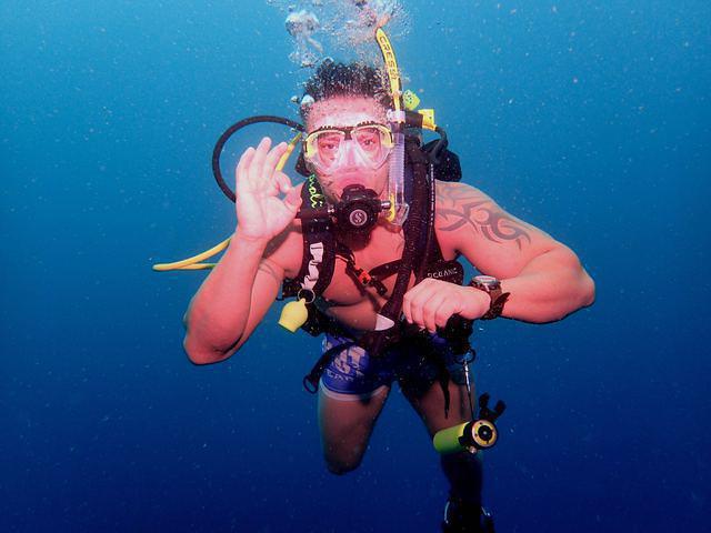 Cartagena Divers - Dive Center in Colombia