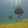 Picture taken during the dive