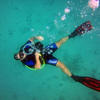 Picture taken during the dive
