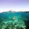 Picture taken during the dive