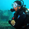 Picture taken during the dive