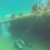 Picture taken during the dive