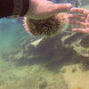 Picture taken during the dive
