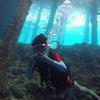 Picture taken during the dive
