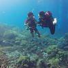 Picture taken during the dive