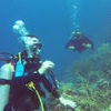 Picture taken during the dive