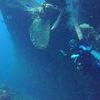Picture taken during the dive