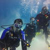 Picture taken during the dive