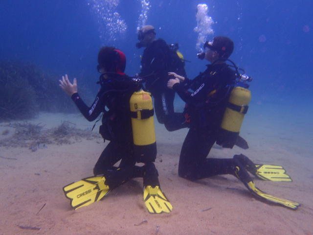 BWATER DIVER - Dive Center in Spain
