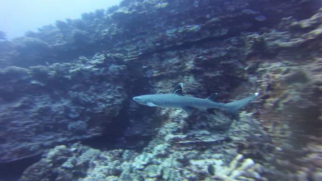 B & B Scuba - Dive Center in United States