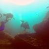 Picture taken during the dive