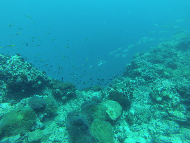 Reefers Dive Resort - Dive Center