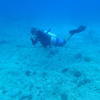 Picture taken during the dive