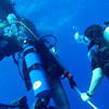Picture taken during the dive