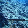 Picture taken during the dive