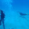 Picture taken during the dive