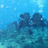 Picture taken during the dive