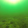 Picture taken during the dive