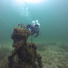 Picture taken during the dive