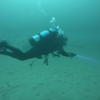Picture taken during the dive