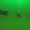 Picture taken during the dive