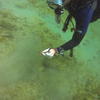 Picture taken during the dive
