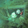 Picture taken during the dive