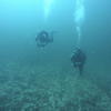 Picture taken during the dive