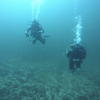 Picture taken during the dive