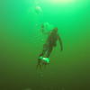 Picture taken during the dive