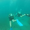 Picture taken during the dive
