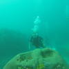 Picture taken during the dive