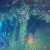 Picture taken during the dive