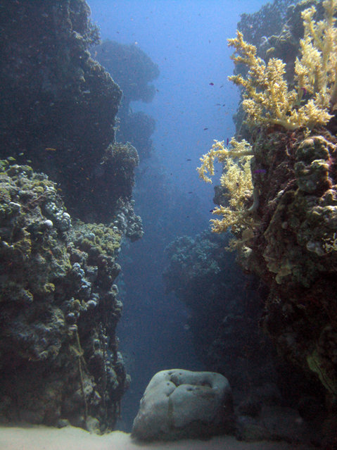 Diving In Sharm El Sheikh - Dive Center in Egypt