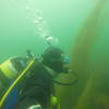 Picture taken during the dive