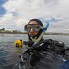 Picture taken during the dive