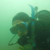 Picture taken during the dive