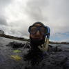 Picture taken during the dive