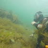 Picture taken during the dive