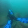 Picture taken during the dive
