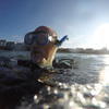 Picture taken during the dive