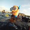 Picture taken during the dive