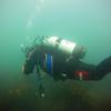 Picture taken during the dive