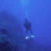 Picture taken during the dive