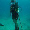Picture taken during the dive