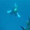 Picture taken during the dive