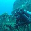 Picture taken during the dive